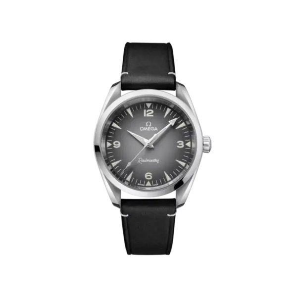 Seamaster Railmaster Ref. 235.12.38.20.06.001
